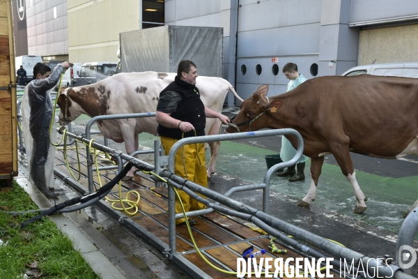Salon de l Agriculture de Paris. Agricultural show in Paris.