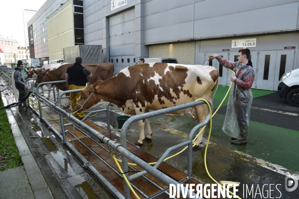 Salon de l Agriculture de Paris. Agricultural show in Paris.