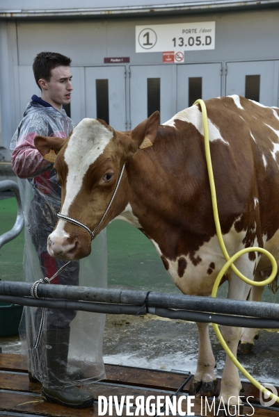 Salon de l Agriculture de Paris. Agricultural show in Paris.