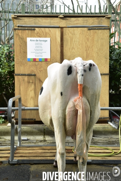 Salon de l Agriculture de Paris. Agricultural show in Paris.