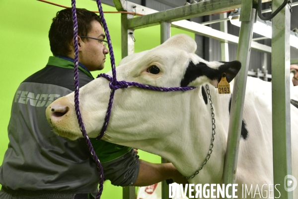 Salon de l Agriculture de Paris. Agricultural show in Paris.