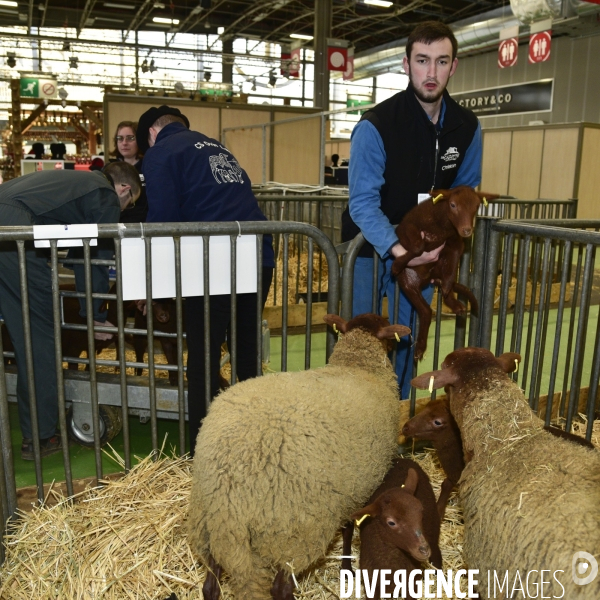Salon de l Agriculture de Paris. Agricultural show in Paris.