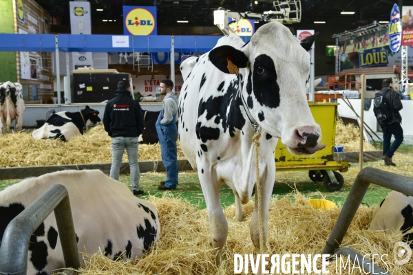 Salon de l Agriculture de Paris. Agricultural show in Paris.