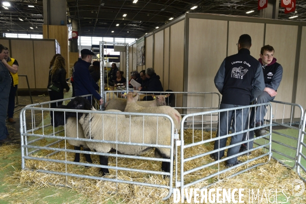 Salon de l Agriculture de Paris. Agricultural show in Paris.