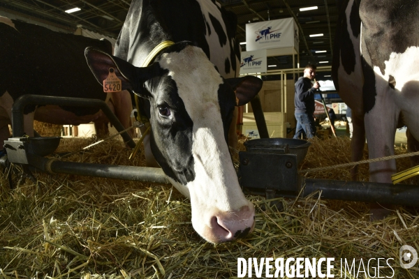 Salon de l Agriculture de Paris. Agricultural show in Paris.