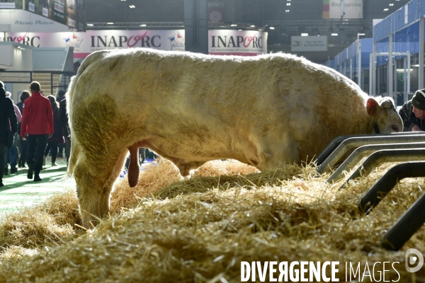 Salon de l Agriculture de Paris. Agricultural show in Paris.