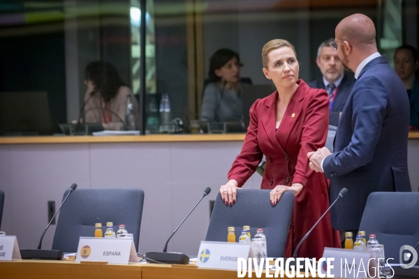 Sommet européen des chefs d Etat et de gouvernement de l Union européenne sur le budget pluriannuel