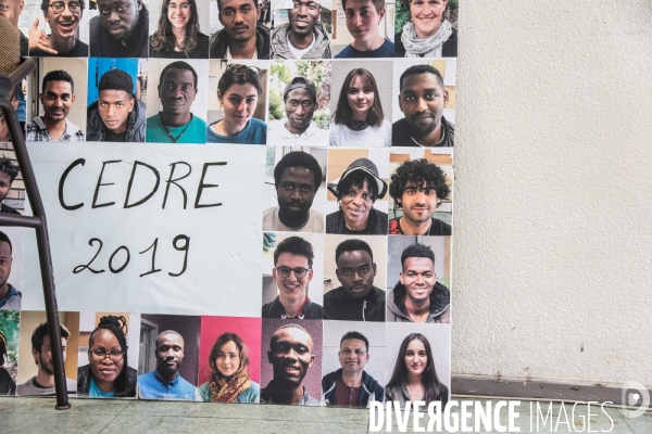 Le cèdre Secours Catholique accueil des migrants