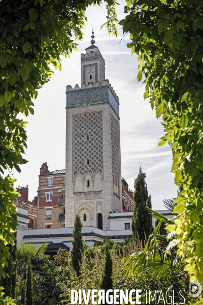 ISLAM-MOSQUÉE Architecture