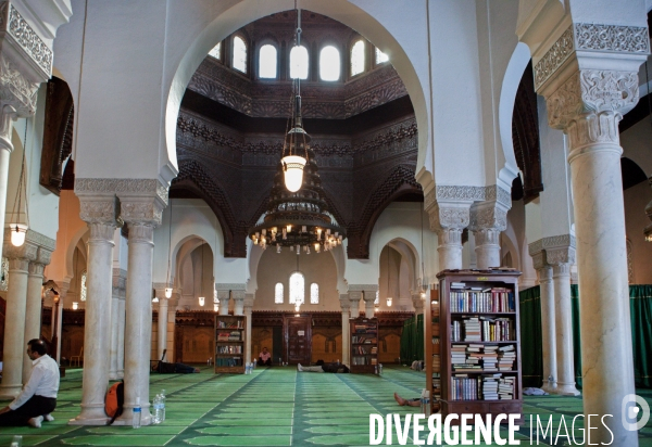 Salle de prière de la mosquée de Paris