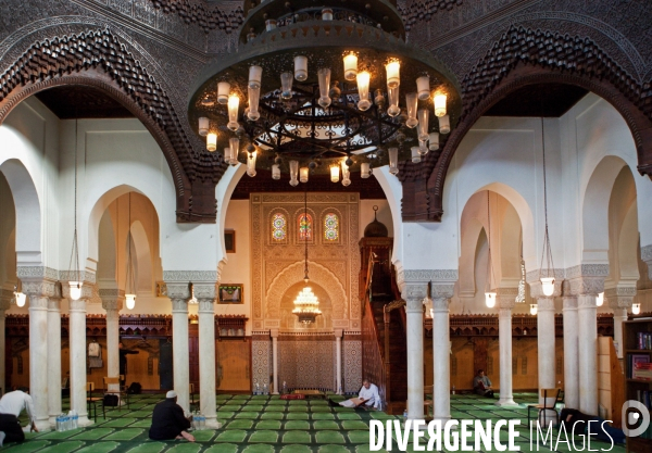 Salle de prière de la mosquée de Paris