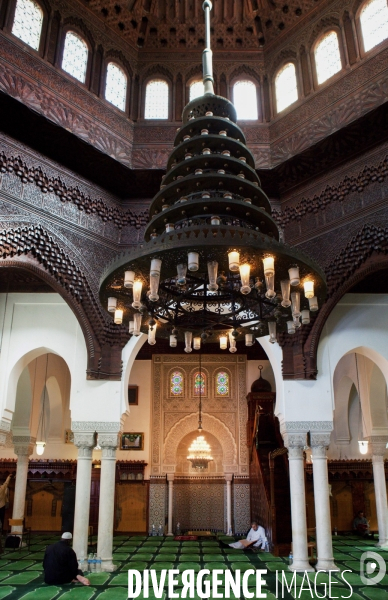 Salle de prière de la mosquée de Paris