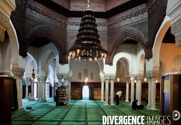 Salle de prière de la mosquée de Paris