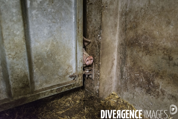 Abattoir de Guillestre Hautes Alpes