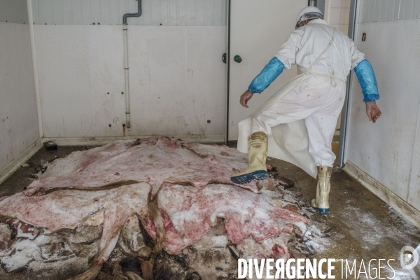 Abattoir de Guillestre Hautes Alpes