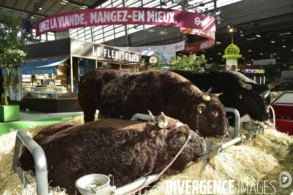 Les animaux au Salon de l Agriculture de Paris. Agricultural show in Paris.