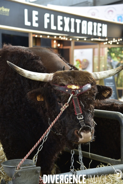 Les animaux au Salon de l Agriculture de Paris. Agricultural show in Paris.