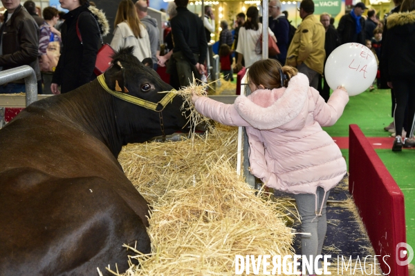 Les animaux au Salon de l Agriculture de Paris. Agricultural show in Paris.