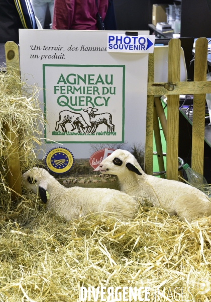 Les animaux au Salon de l Agriculture de Paris. Agricultural show in Paris.