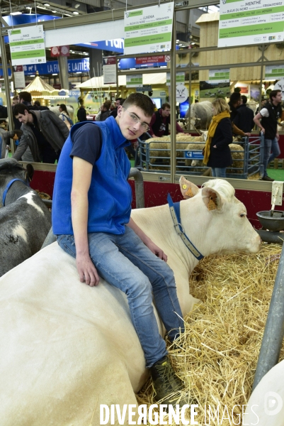 Salon de l Agriculture de Paris. Agricultural show in Paris.