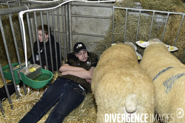 Salon de l Agriculture de Paris. Agricultural show in Paris.