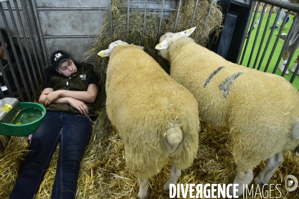 Salon de l Agriculture de Paris. Agricultural show in Paris.