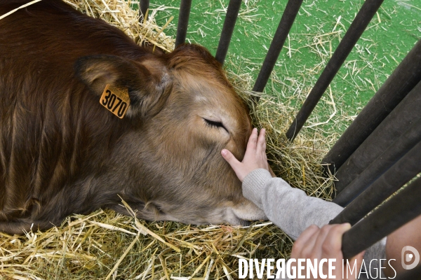 Salon de l Agriculture de Paris. Agricultural show in Paris.