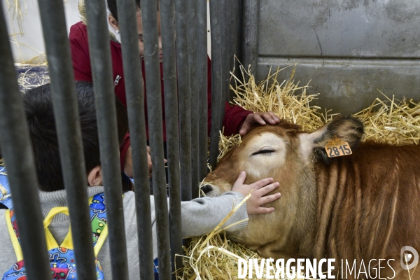 Salon de l Agriculture de Paris. Agricultural show in Paris.