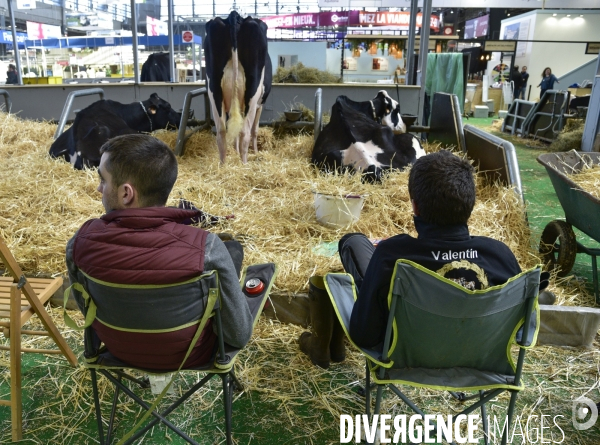 Salon de l Agriculture de Paris. Agricultural show in Paris.