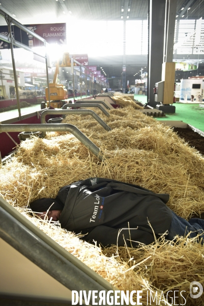 Salon de l Agriculture de Paris. Agricultural show in Paris.