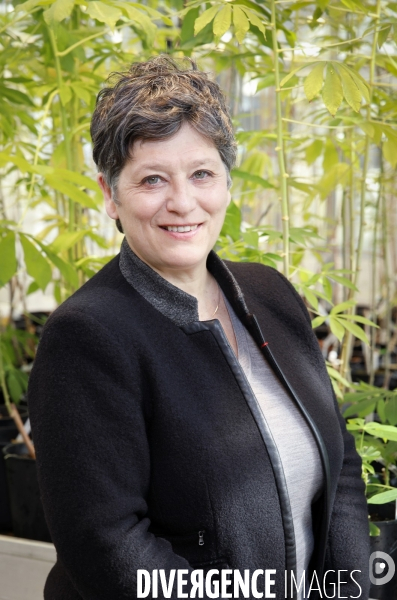 Valérie verdier, pdg de l ird