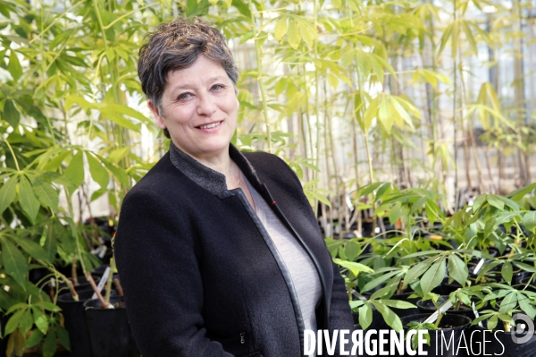 Valérie verdier, pdg de l ird
