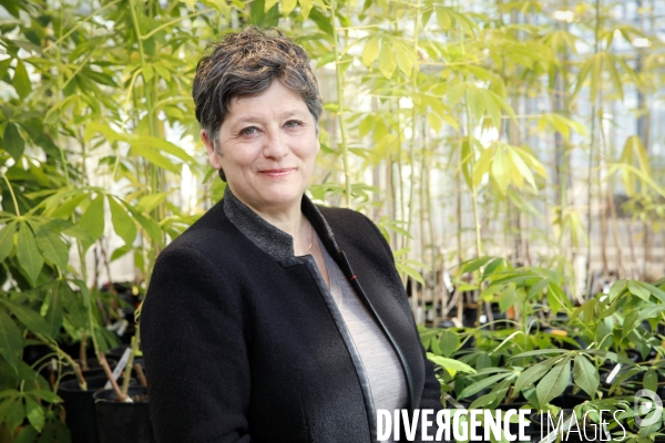 Valérie verdier, pdg de l ird