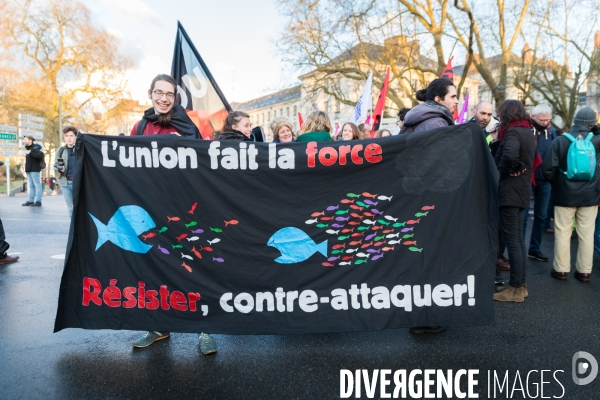 Manifestation contre le recours au 49.3 à Nantes