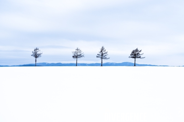 Un hiver sur l île d Hokkaido