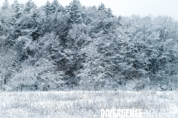 Un hiver sur l île d Hokkaido