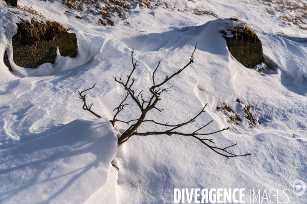 Un hiver sur l île d Hokkaido