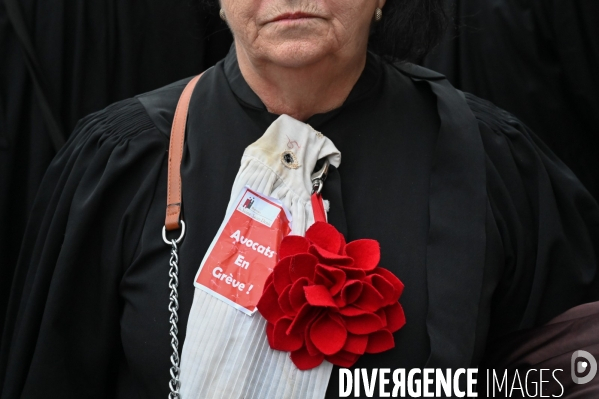 Les avocats bloquent le tribunal judiciaire pour protester contre la réforme des retraites.