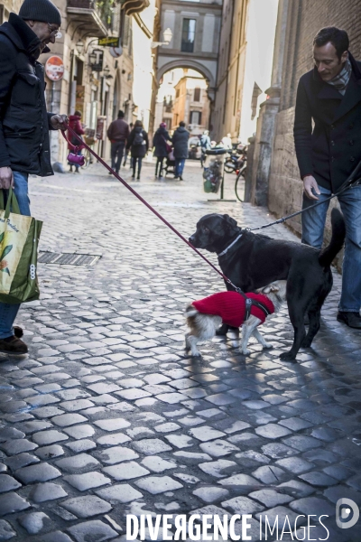 Rome, vie quotidienne.