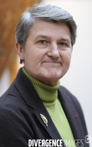 Bernadette malgorn candidate aux elections regionales 2010 en bretagne .