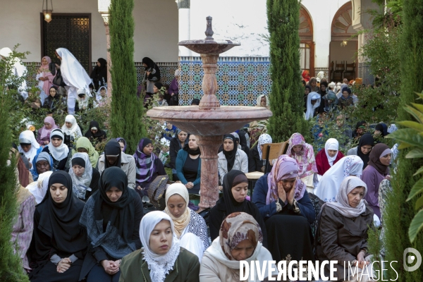 ISLAM - MOSQUÉE - Femmes Enfants