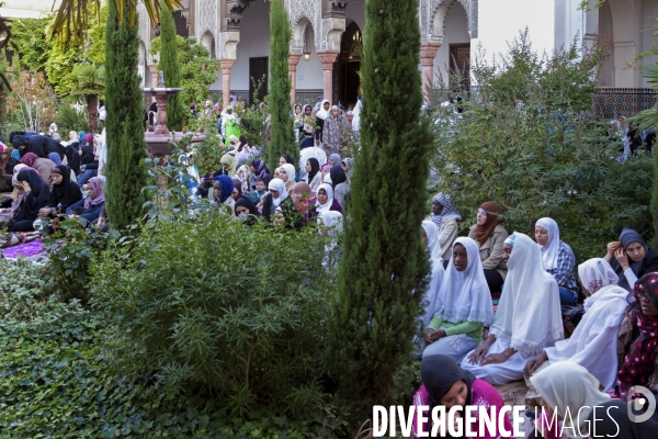 ISLAM - MOSQUÉE - Femmes Enfants