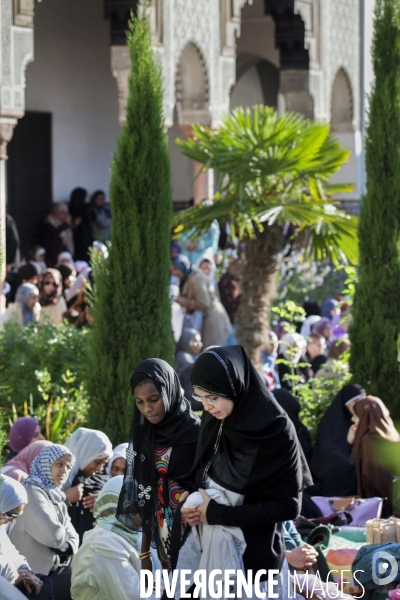 ISLAM - MOSQUÉE - Femmes Enfants