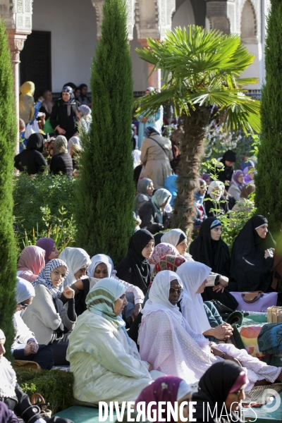 ISLAM - MOSQUÉE - Femmes Enfants