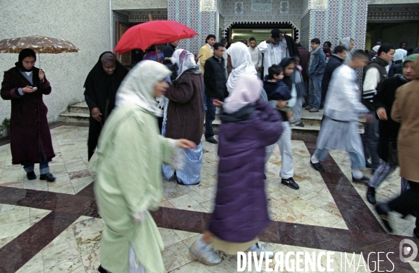 ISLAM - MOSQUÉE - Femmes Enfants