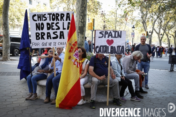 Manifestation au centre de barcelone des anti-ind¢pendantistes favorables à l unit¢ de l ¢tat espagnol.