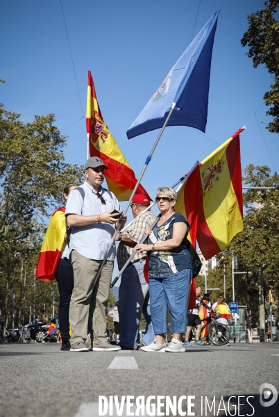 Manifestation au centre de barcelone des anti-ind¢pendantistes favorables à l unit¢ de l ¢tat espagnol.