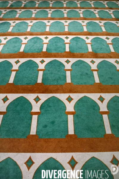 Prière du vendredi à la Grande mosquée de Lille