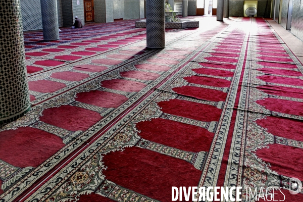 ISLAM - Mosquée Tapis