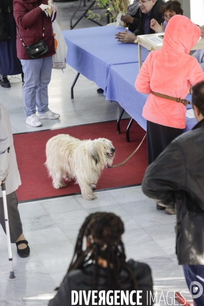 1er tour des Élections Municipales en BANLIEUE